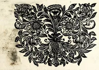 An illustration from Proportien der menschelyke lichamen, vertoont in zes en twintig afbeeldingen, zoo van mannen, vrouwen, als kinderen, &c. : alle met de maat van ieder deel daar by gestelt : na de voortreffelykste en allerschoonste antique beelden