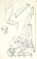An illustration from Proportien der menschelyke lichamen, vertoont in zes en twintig afbeeldingen, zoo van mannen, vrouwen, als kinderen, &c. : alle met de maat van ieder deel daar by gestelt : na de voortreffelykste en allerschoonste antique beelden