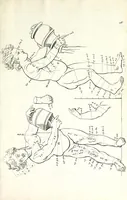 Picture 11 of 11 from Proportien der menschelyke lichamen, vertoont in zes en twintig afbeeldingen, zoo van mannen, vrouwen, als kinderen, &c. : alle met de maat van ieder deel daar by gestelt : na de voortreffelykste en allerschoonste antique beelden, leaf 55