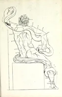Picture 3 of 11 from Proportien der menschelyke lichamen, vertoont in zes en twintig afbeeldingen, zoo van mannen, vrouwen, als kinderen, &c. : alle met de maat van ieder deel daar by gestelt : na de voortreffelykste en allerschoonste antique beelden, leaf 9