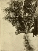 An illustration from Proportion and harmony of line and color in painting, sculpture, and architecture; an essay in comparative aesthetics (1909)