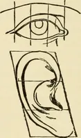 An illustration from Proportion and harmony of line and color in painting, sculpture, and architecture; an essay in comparative aesthetics (1909)