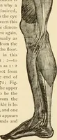 An illustration from Proportion and harmony of line and color in painting, sculpture, and architecture; an essay in comparative aesthetics (1909)