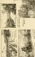 An illustration from Proportion and harmony of line and color in painting, sculpture, and architecture; an essay in comparative aesthetics (1909)