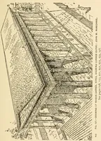 An illustration from Proportion and harmony of line and color in painting, sculpture, and architecture; an essay in comparative aesthetics (1909)