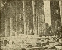 An illustration from Proportion and harmony of line and color in painting, sculpture, and architecture; an essay in comparative aesthetics (1909)