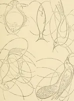 An illustration from Proportion and harmony of line and color in painting, sculpture, and architecture; an essay in comparative aesthetics (1909)