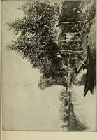 An illustration from Proportion and harmony of line and color in painting, sculpture, and architecture : an essay in comparative æsthetics (1899)