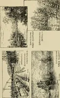 An illustration from Proportion and harmony of line and color in painting, sculpture, and architecture : an essay in comparative æsthetics (1899)