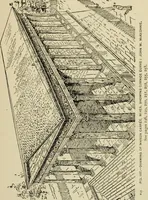 An illustration from Proportion and harmony of line and color in painting, sculpture, and architecture : an essay in comparative æsthetics (1899)
