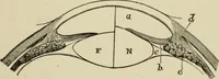 An illustration from Proportion and harmony of line and color in painting, sculpture, and architecture : an essay in comparative æsthetics (1899)