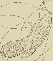 An illustration from Proportion and harmony of line and color in painting, sculpture, and architecture : an essay in comparative æsthetics (1899)