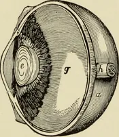 An illustration from Proportion and harmony of line and color in painting, sculpture, and architecture : an essay in comparative æsthetics (1899)