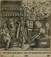 Picture 65 of 72 from Proscenivm vitæ hvmanæ, siue Emblematvm secvlarivm, ivcvndissima, & artificiosissima varietate vitæ hvmanæ & seculi huius deprauati mores, ac studia peruersissima adumbrantium: et Latinis versibvs, explicatorum, decades septem multis figuris adauctæ, & in vsum studiosæ inprimis iuuentutis ita adornatæ vt instar albi amicorvm sodalitatum symbolis, & insigniis conscribendis depingendisq; inseruire commode possint (1627), leaf 142