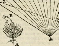 Picture 45 of 64 from Prose de' signori accademici Gelati di Bologna ... : colle loro imprese anteposte a' discorsi (1671), leaf 220