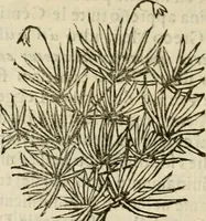 Picture 46 of 64 from Prose de' signori accademici Gelati di Bologna ... : colle loro imprese anteposte a' discorsi (1671), leaf 225