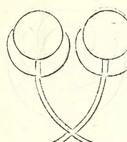 An illustration from Prospectiua coĩs