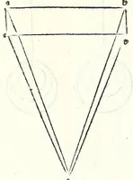 An illustration from Prospectiua coĩs