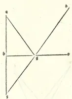 Picture 17 of 29 from Prospectiua coĩs, leaf 44
