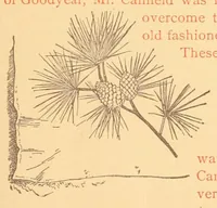 Picture 3 of 16 from Prospectus of the Canfield competitive art-needle-work exhibit. 2d annual display. 1887 (1887), leaf 21