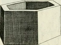 An illustration from La prospettiua pratica (1684)