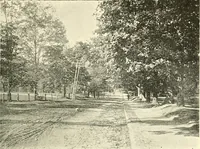 Picture 11 of 17 from Protection of shade trees in cities and towns (1900), leaf 44