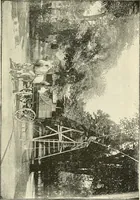 An illustration from Protection of shade trees in cities and towns (1900)