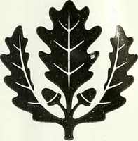 Picture 17 of 17 from Protection of shade trees in cities and towns (1900), leaf 54
