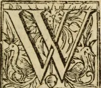 An illustration from Protestancy without principles : or sectaries unhappy fall from infallibility to fancy ; laid forth in four discourses (1668)