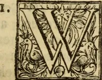 An illustration from Protestancy without principles : or sectaries unhappy fall from infallibility to fancy ; laid forth in four discourses (1668)