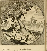 An illustration from Proteus, ofte, Minne-beelden verandert in sinne-beelden (1627)