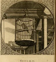 An illustration from Proteus, ofte, Minne-beelden verandert in sinne-beelden (1627)