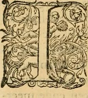 An illustration from Proteus, ofte, Minne-beelden verandert in sinne-beelden (1627)