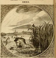 An illustration from Proteus, ofte, Minne-beelden verandert in sinne-beelden (1627)