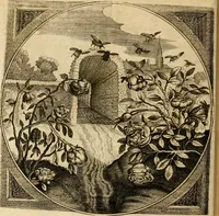 An illustration from Proteus, ofte, Minne-beelden verandert in sinne-beelden (1627)