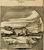 An illustration from Proteus, ofte, Minne-beelden verandert in sinne-beelden (1627)