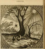 An illustration from Proteus, ofte, Minne-beelden verandert in sinne-beelden (1627)