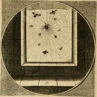 An illustration from Proteus, ofte, Minne-beelden verandert in sinne-beelden (1627)