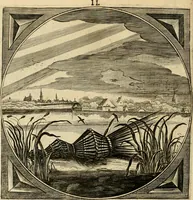 An illustration from Proteus, ofte, Minne-beelden verandert in sinne-beelden (1627)