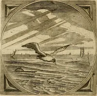 An illustration from Proteus, ofte, Minne-beelden verandert in sinne-beelden (1627)
