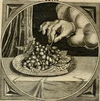 An illustration from Proteus, ofte, Minne-beelden verandert in sinne-beelden (1627)