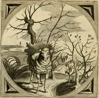 An illustration from Proteus, ofte, Minne-beelden verandert in sinne-beelden (1627)