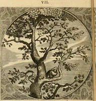 An illustration from Proteus, ofte, Minne-beelden verandert in sinne-beelden (1627)