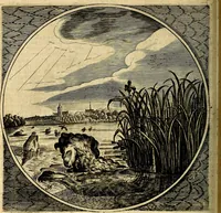 An illustration from Proteus, ofte, Minne-beelden verandert in sinne-beelden (1627)