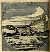 An illustration from Proteus, ofte, Minne-beelden verandert in sinne-beelden (1627)