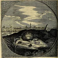 An illustration from Proteus, ofte, Minne-beelden verandert in sinne-beelden (1627)