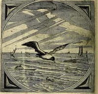 An illustration from Proteus, ofte, Minne-beelden verandert in sinne-beelden (1627)