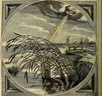 An illustration from Proteus, ofte, Minne-beelden verandert in sinne-beelden (1627)