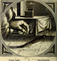 An illustration from Proteus, ofte, Minne-beelden verandert in sinne-beelden (1627)
