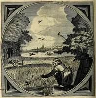 An illustration from Proteus, ofte, Minne-beelden verandert in sinne-beelden (1627)